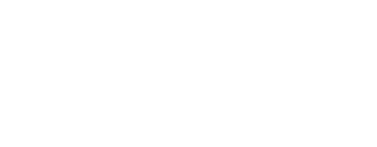 Consulteam